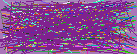 trace email